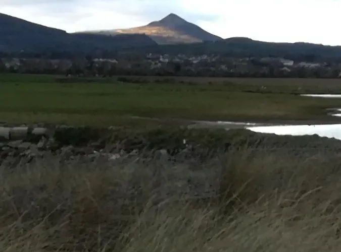 住宿加早餐酒店 Relaxing Space.