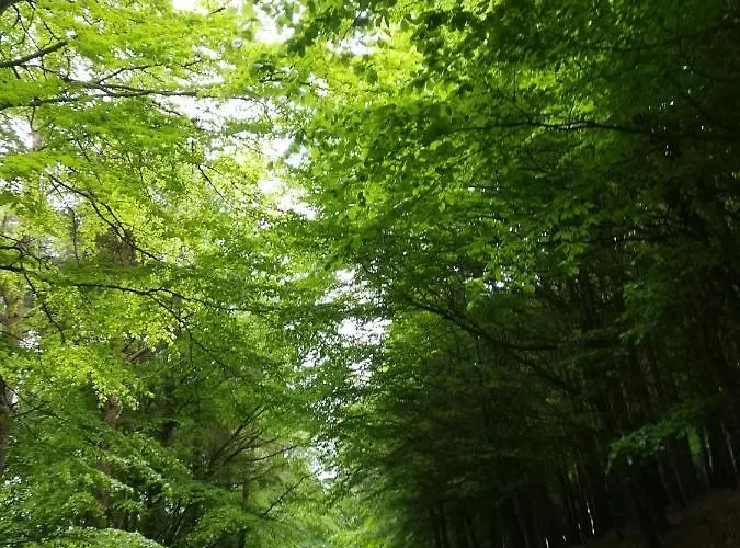 住宿加早餐酒店 Relaxing Space.
