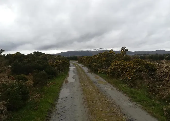 Relaxing Space. 住宿加早餐酒店 Kilpedder