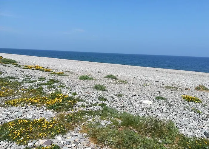 住宿加早餐酒店 Relaxing Space.