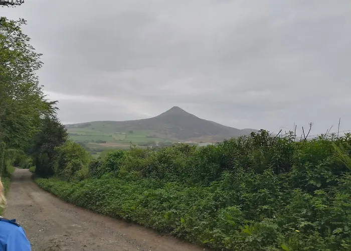 住宿加早餐酒店 Relaxing Space. Kilpedder