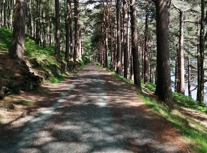 住宿加早餐酒店 Relaxing Space. *